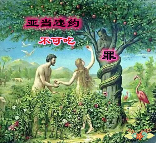 《立约》亚当不可吃之约-图片3